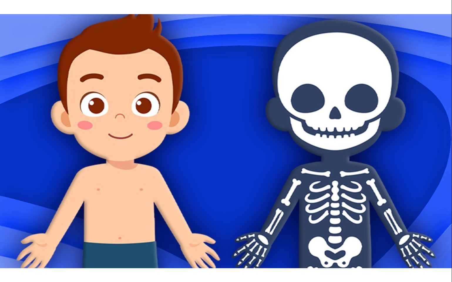 learn all about your skeleton | human body songs for kids | klt