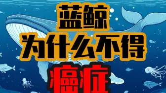 蓝鲸为什么不得癌症？