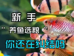 Download Video: 一条视频带你了解上浮，缓沉，下沉颗粒！