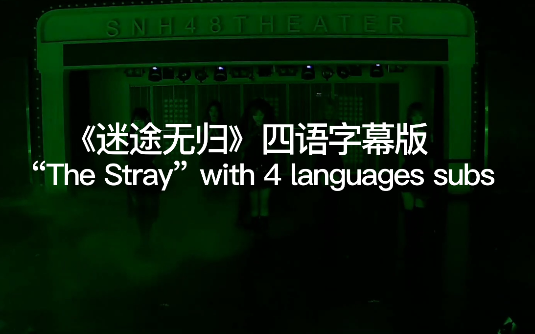 [图]【王晓佳】《迷途无归the stray》 英/日/韩/越 四语字幕 分段剪辑版