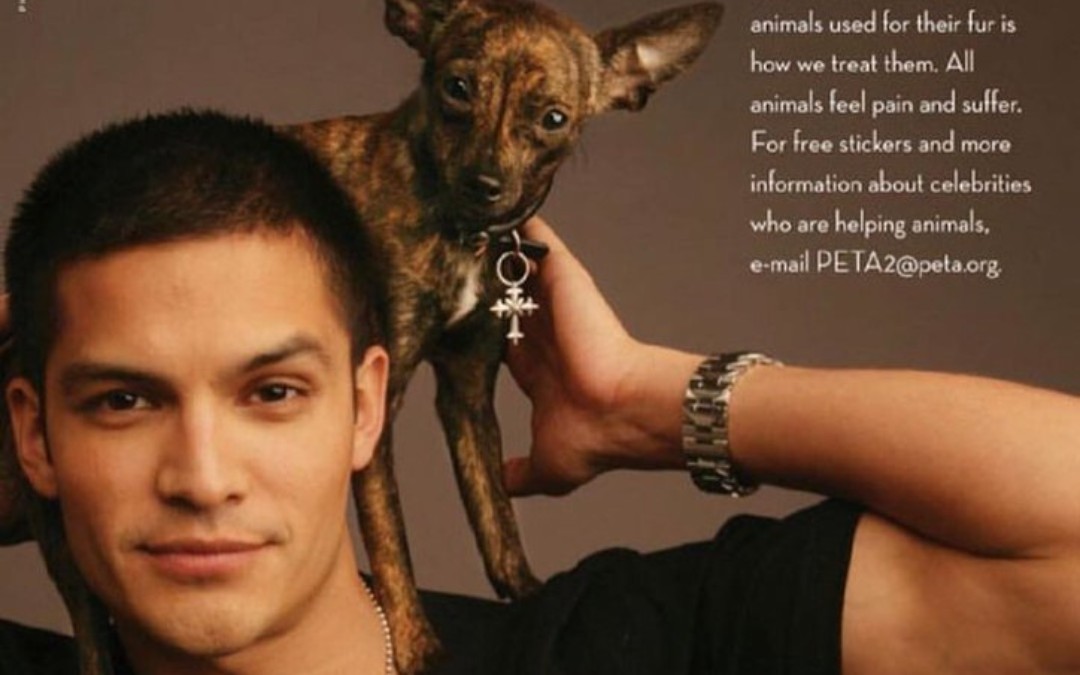 【nicholas gonzalez/访谈】我爱寸头尼【良医/limlendez】大型悬疑