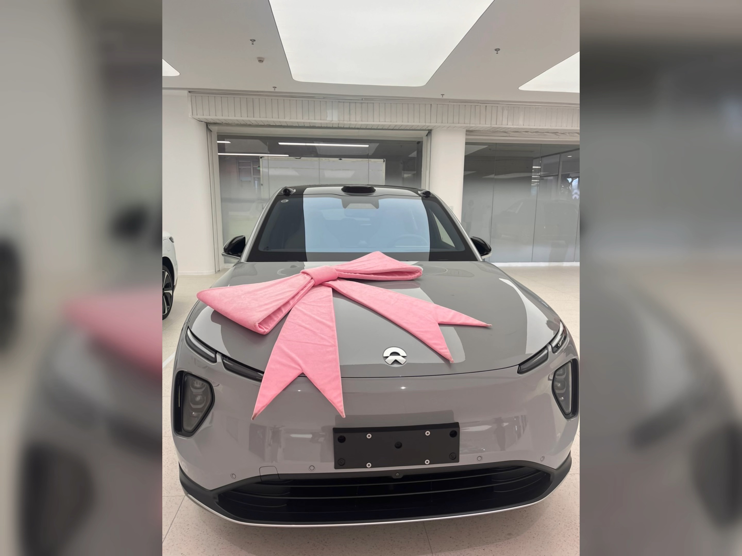 蔚来换电#bass租电说一下nomi的小表情～是不是每次上车,都被它娜软