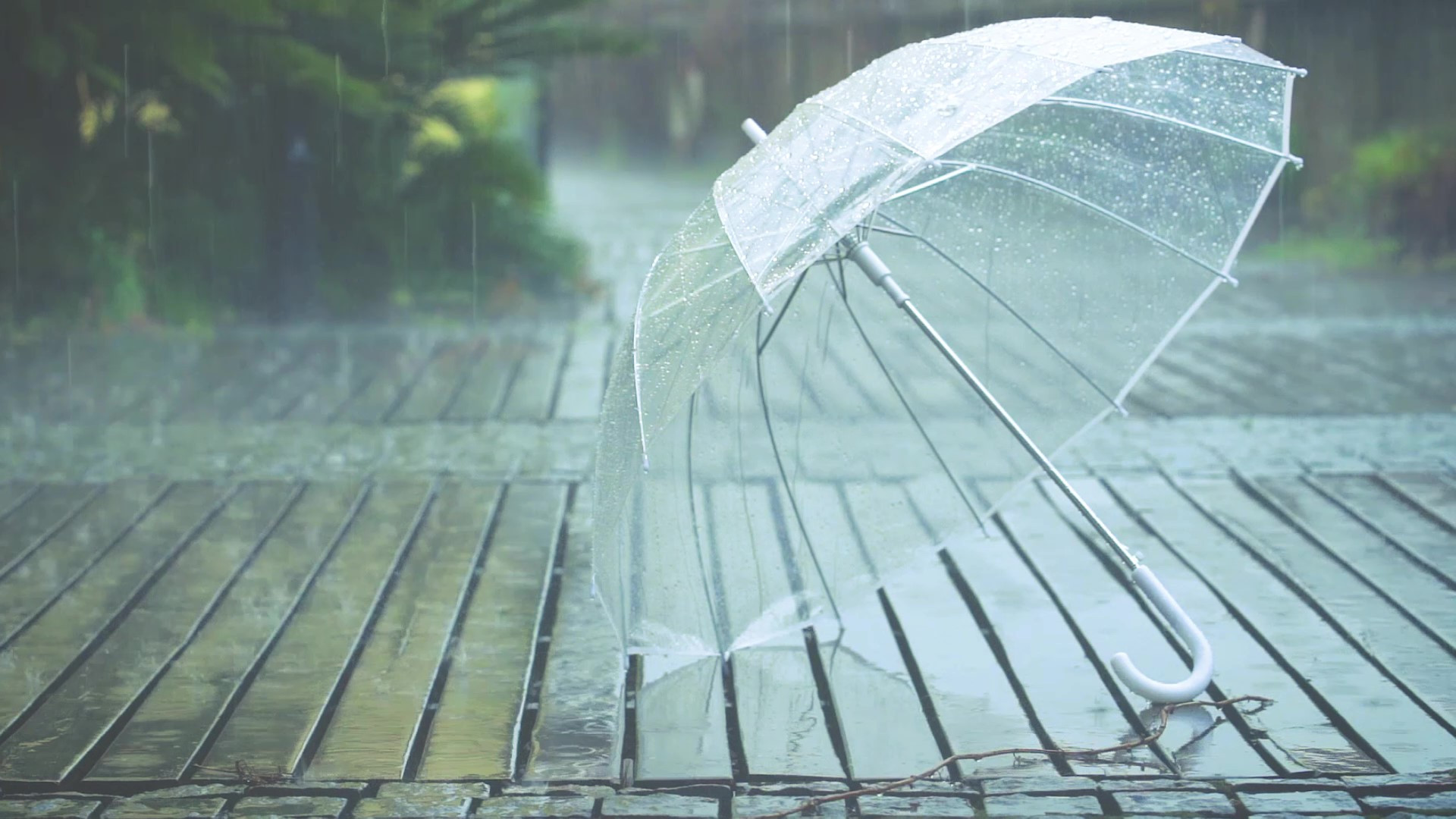 冷雨伤感图片图片