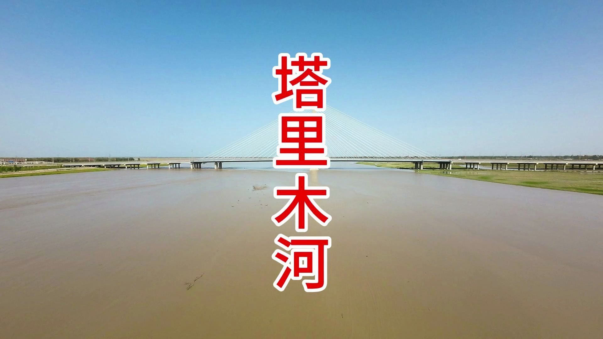 塔里木河(Tarim River)哔哩哔哩bilibili