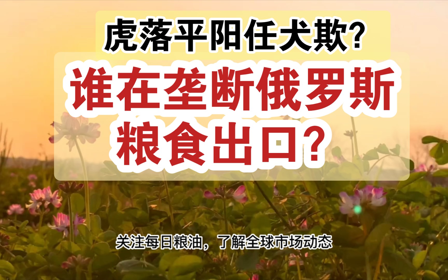 每日粮油盘点:成为新世纪超级粮商之后,俄罗斯粮食出口市场正遭遇外资垄断?哔哩哔哩bilibili