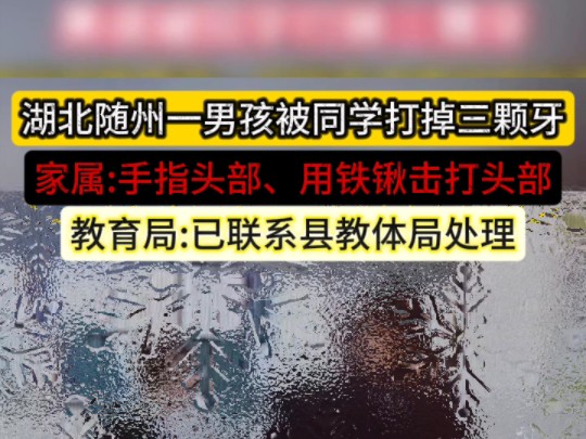 12月19日,湖北随州(发布).一男孩被同学用铁锹打掉三颗牙, 随州市教育局 :已联系县教体局处理.哔哩哔哩bilibili