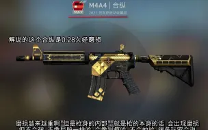 Download Video: 开始割韭菜喽！CSGO合纵 如何挑选，以及最终价格