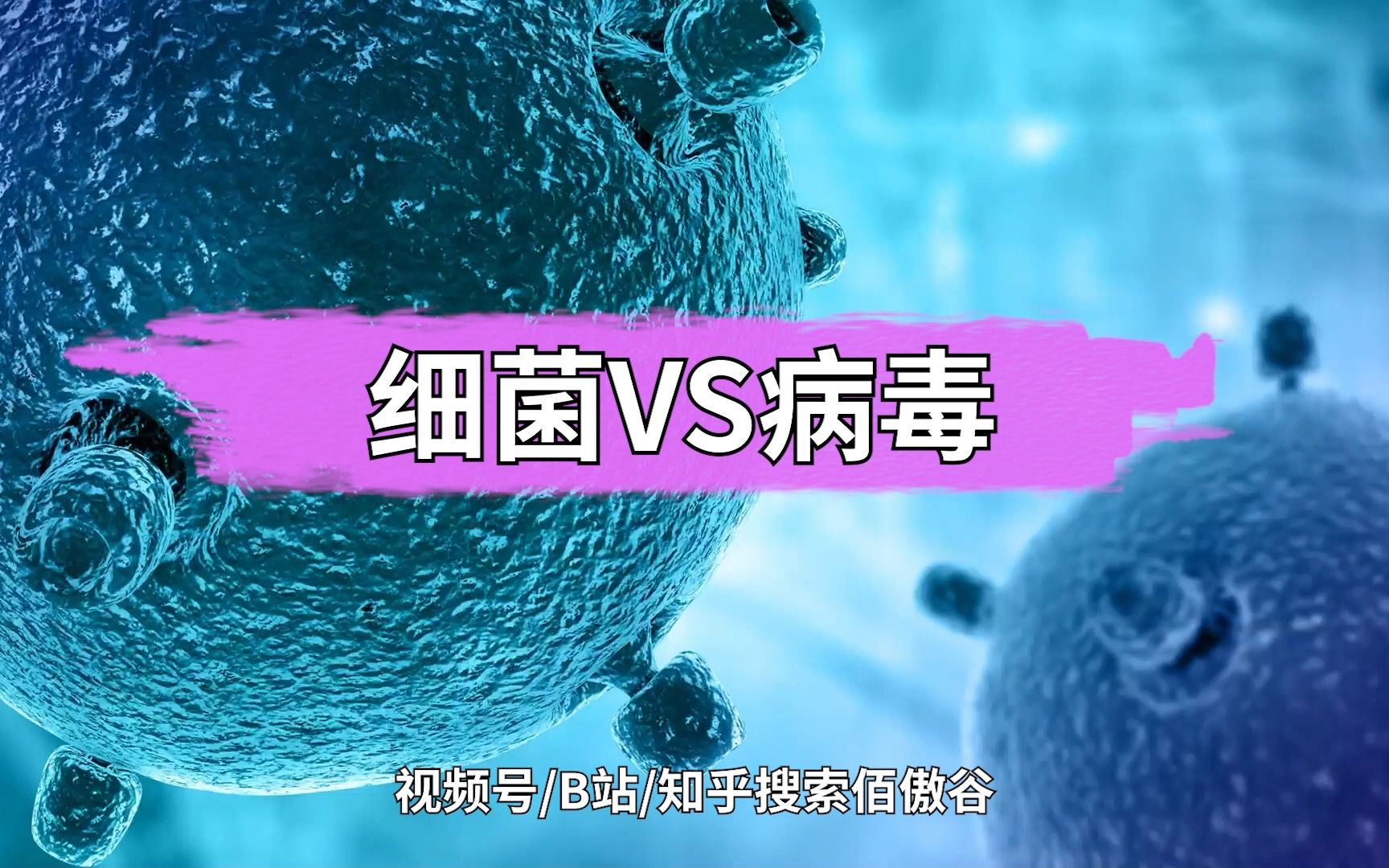 [图]【科普】细菌 vs 病毒