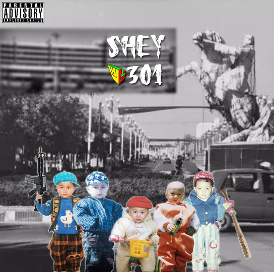 《SHEY 301》  HA$哔哩哔哩bilibili