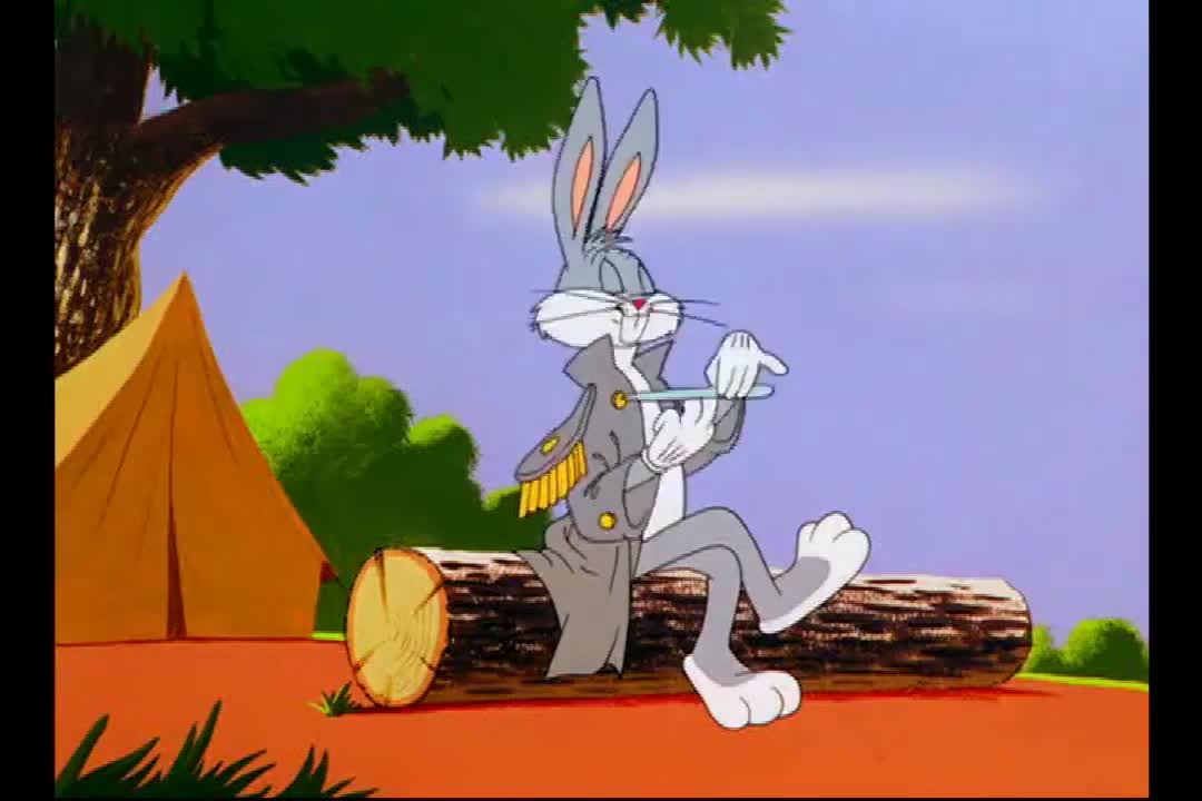 【华纳动画】生肉 兔八哥 南方炸兔 southern fried rabbit(1953)