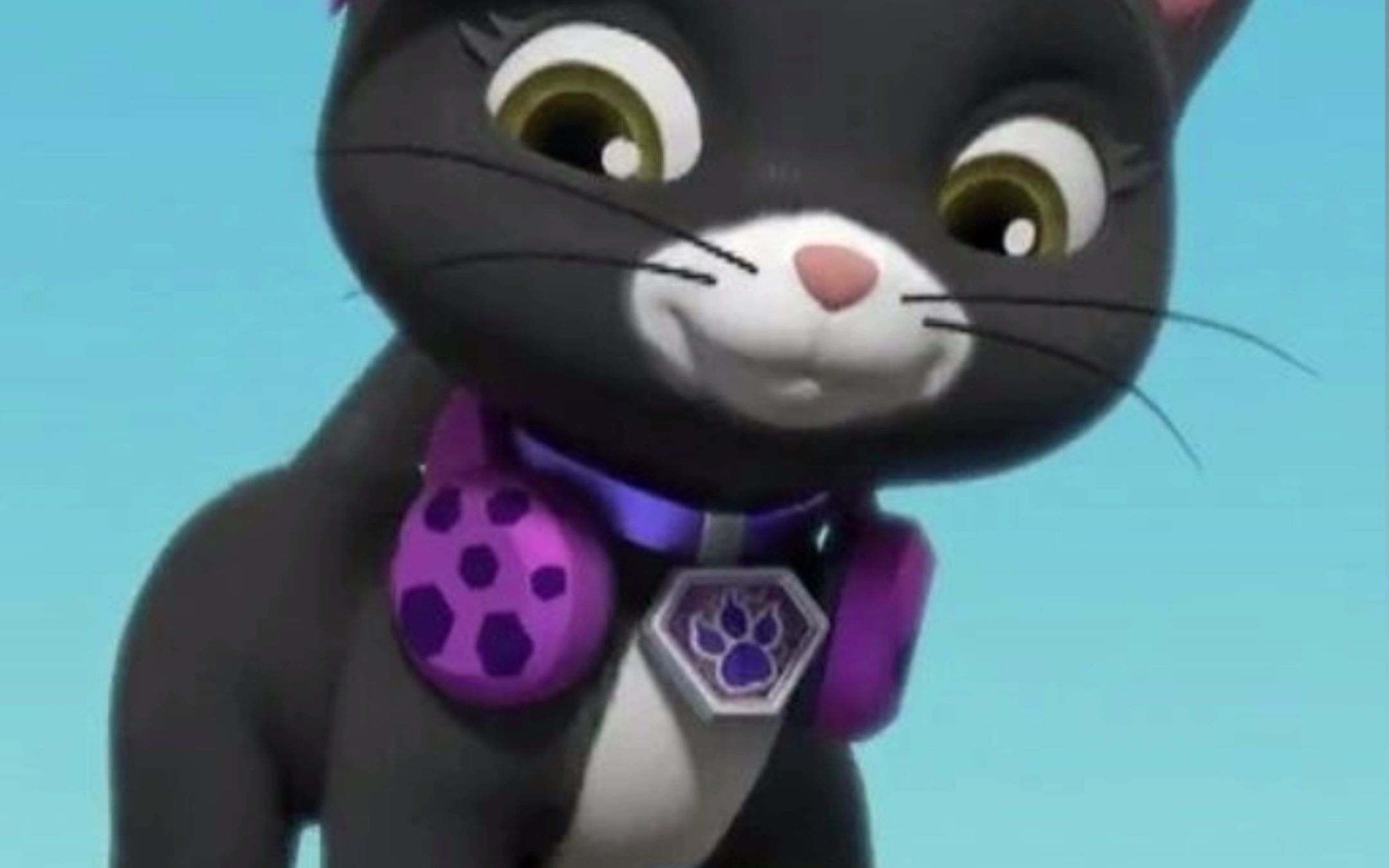 【《汪汪队之星空下的友谊》有声剧】喵喵队成员"飞影"登场!