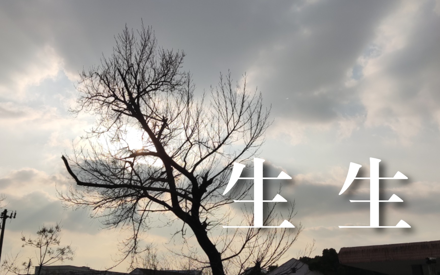 该生 B站