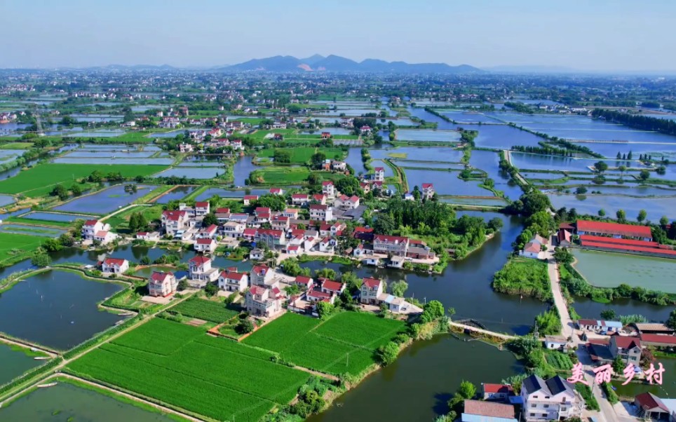 航拍最美家乡#大美当涂#美丽乡村#鱼米之乡石桥镇#市级文明乡村济南