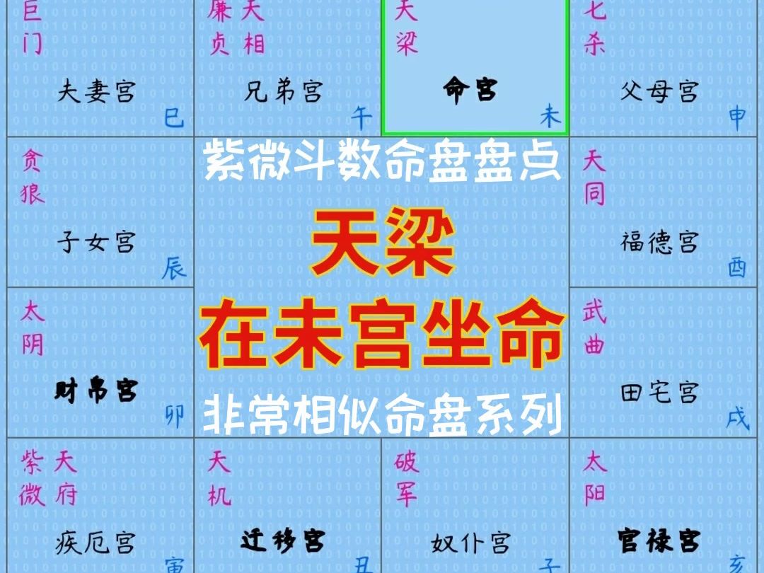 天梁在未宫坐命(紫微斗数非常相似命盘盘点)哔哩哔哩bilibili