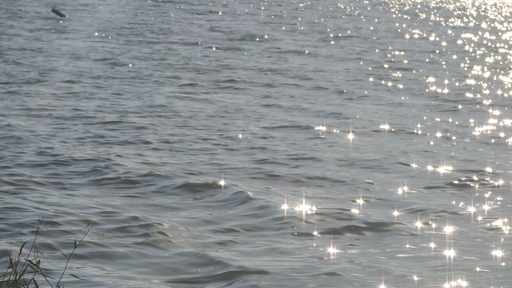 下午河边波光粼粼小米11ultra4k