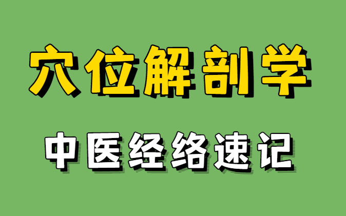 [图]《穴位解剖学》-针灸经络穴位学习必看课程，最全安套人体穴位名称与位置，喜欢的全文背诵