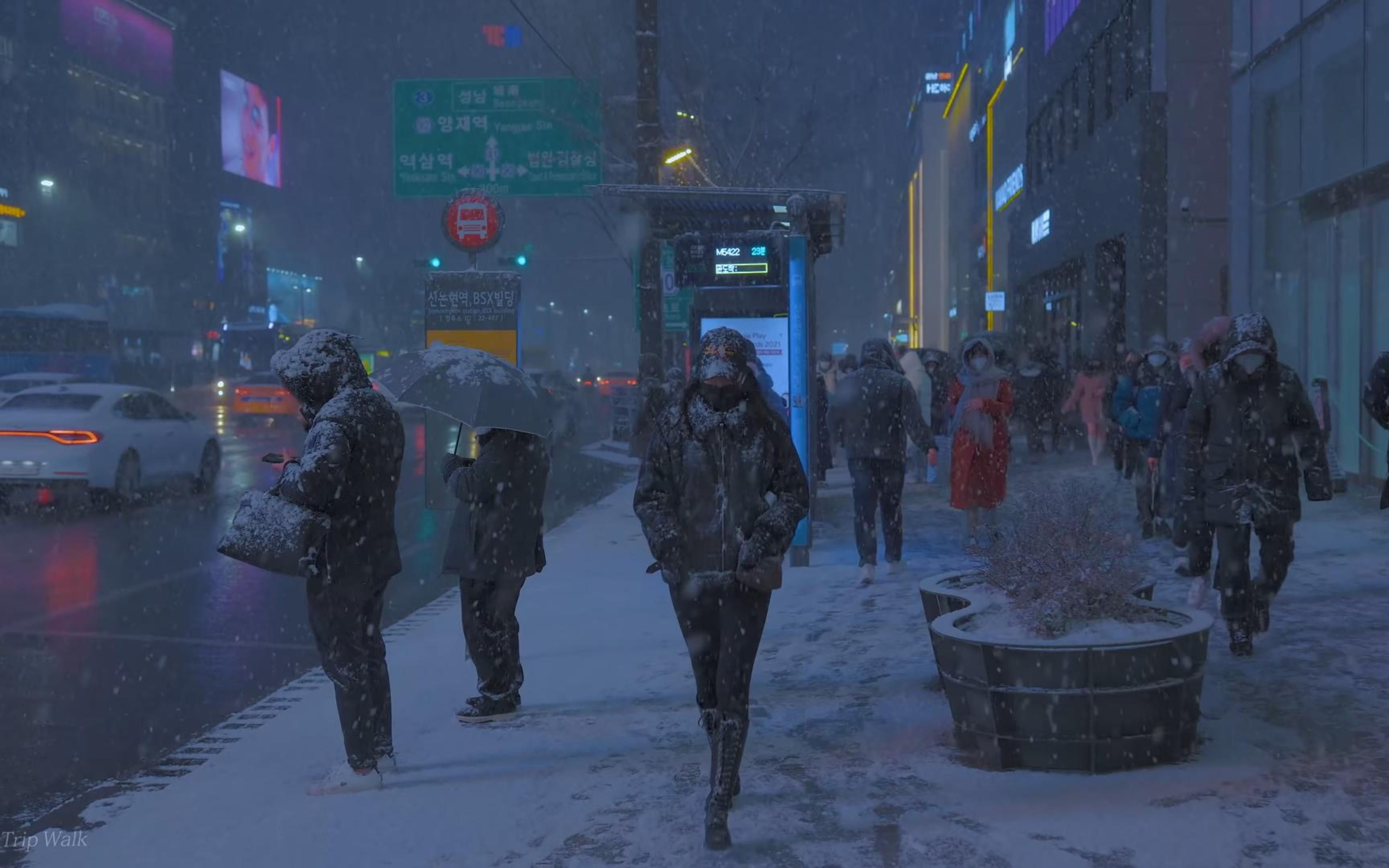 [图][4K]行走在暴雪夜中的首尔江南