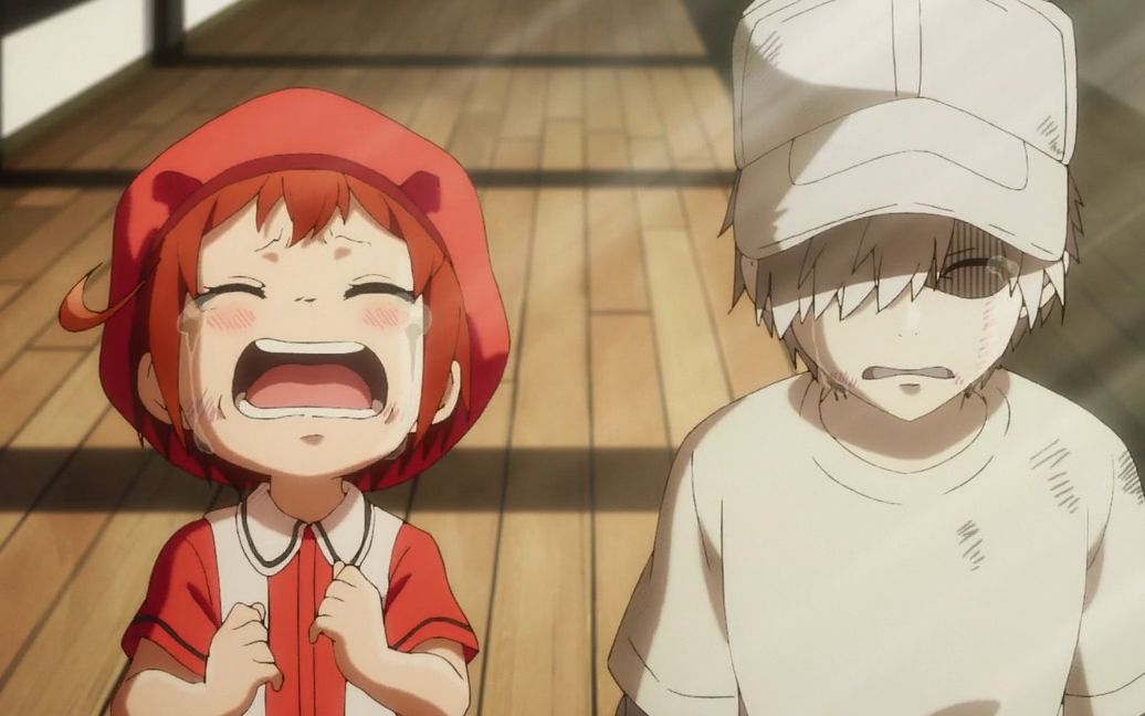 工作细胞|小小的红血球一样可爱哦.