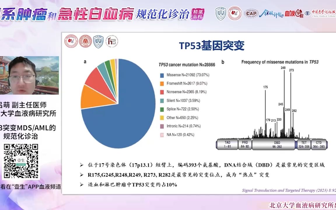 吕萌:TP53突变MDSAML的规范化诊治哔哩哔哩bilibili