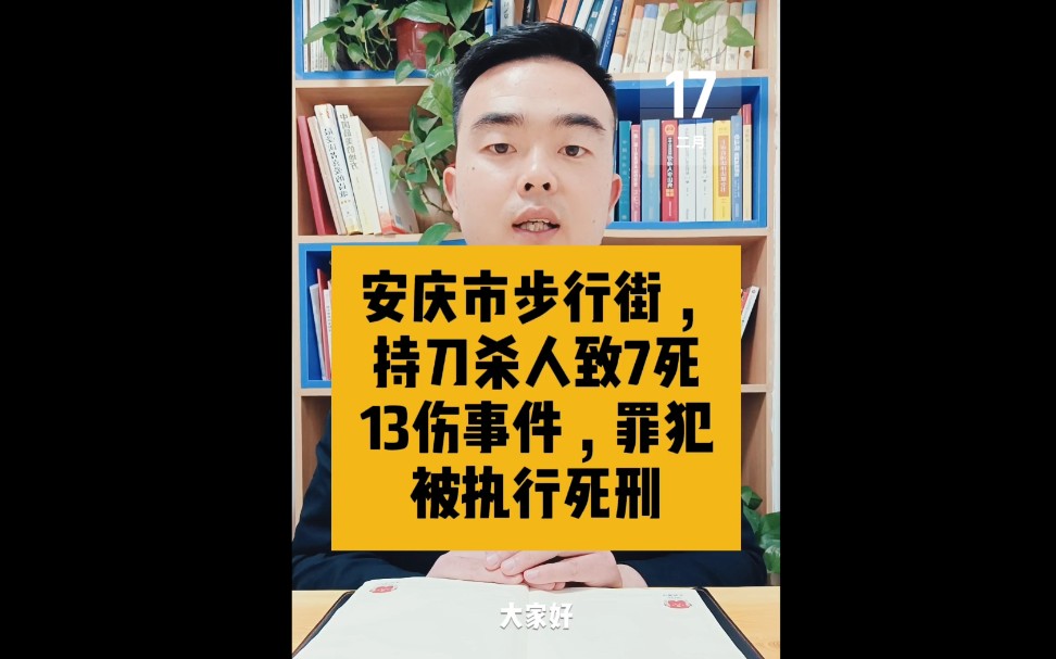 安庆步行街持刀杀人7死13伤事件,罪犯已经被执行死刑哔哩哔哩bilibili