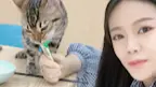 喂小猫