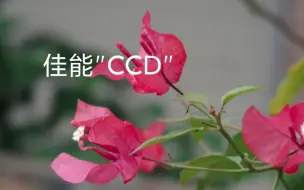 Download Video: “佳能的CCD拍照真简单”