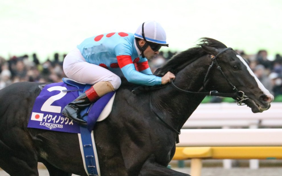 【赛马】2023年 日本杯(g1)【春秋分】