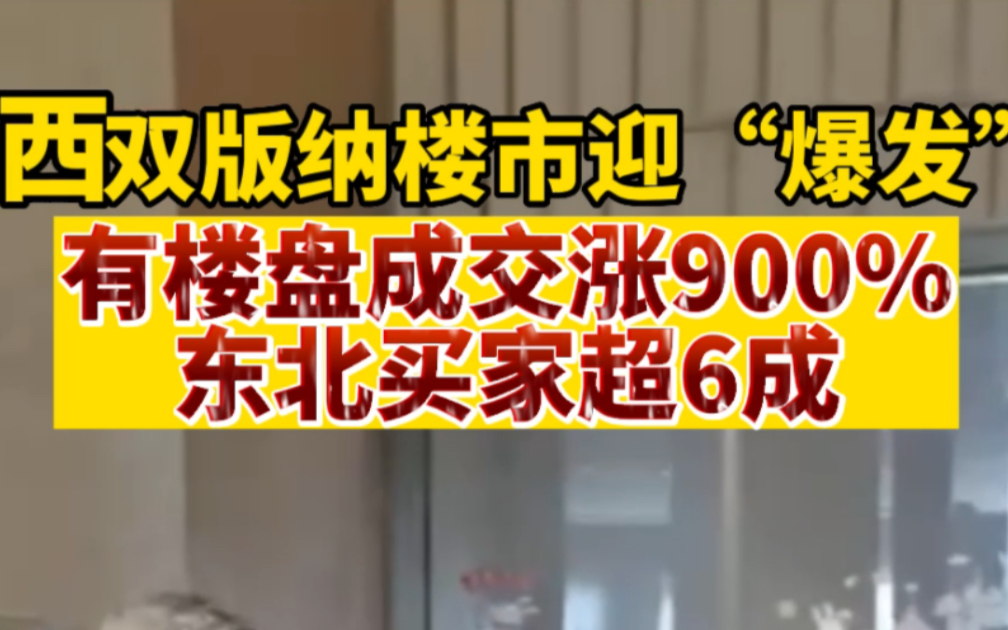 西双版纳楼市迎“爆发”,有楼盘成交涨900%,东北买家超六成哔哩哔哩bilibili