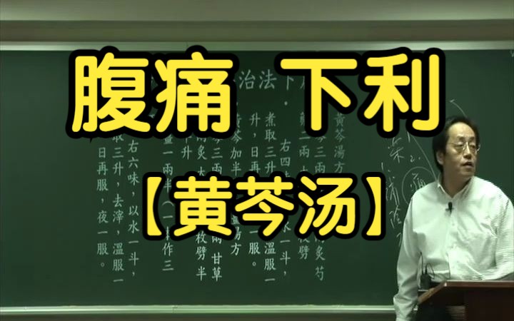 187【倪海厦】黄芩汤 黄芩加半夏生姜汤(下利 腹痛 恶心呕吐)哔哩哔哩bilibili