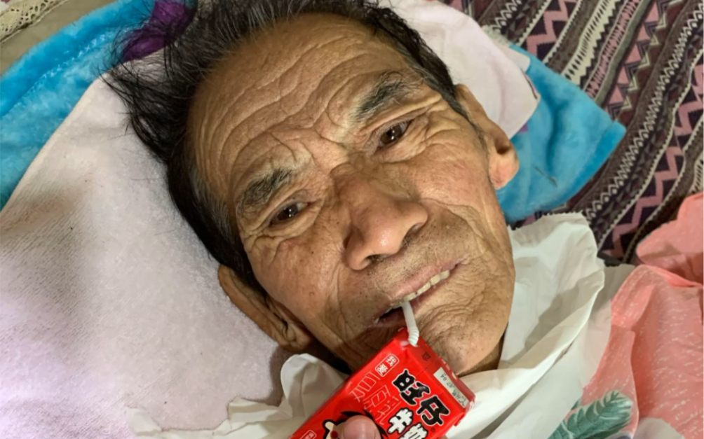 爷爷身患脑梗,卧床不起,收养的流浪猫狗无人照顾,希望爱心人士看见