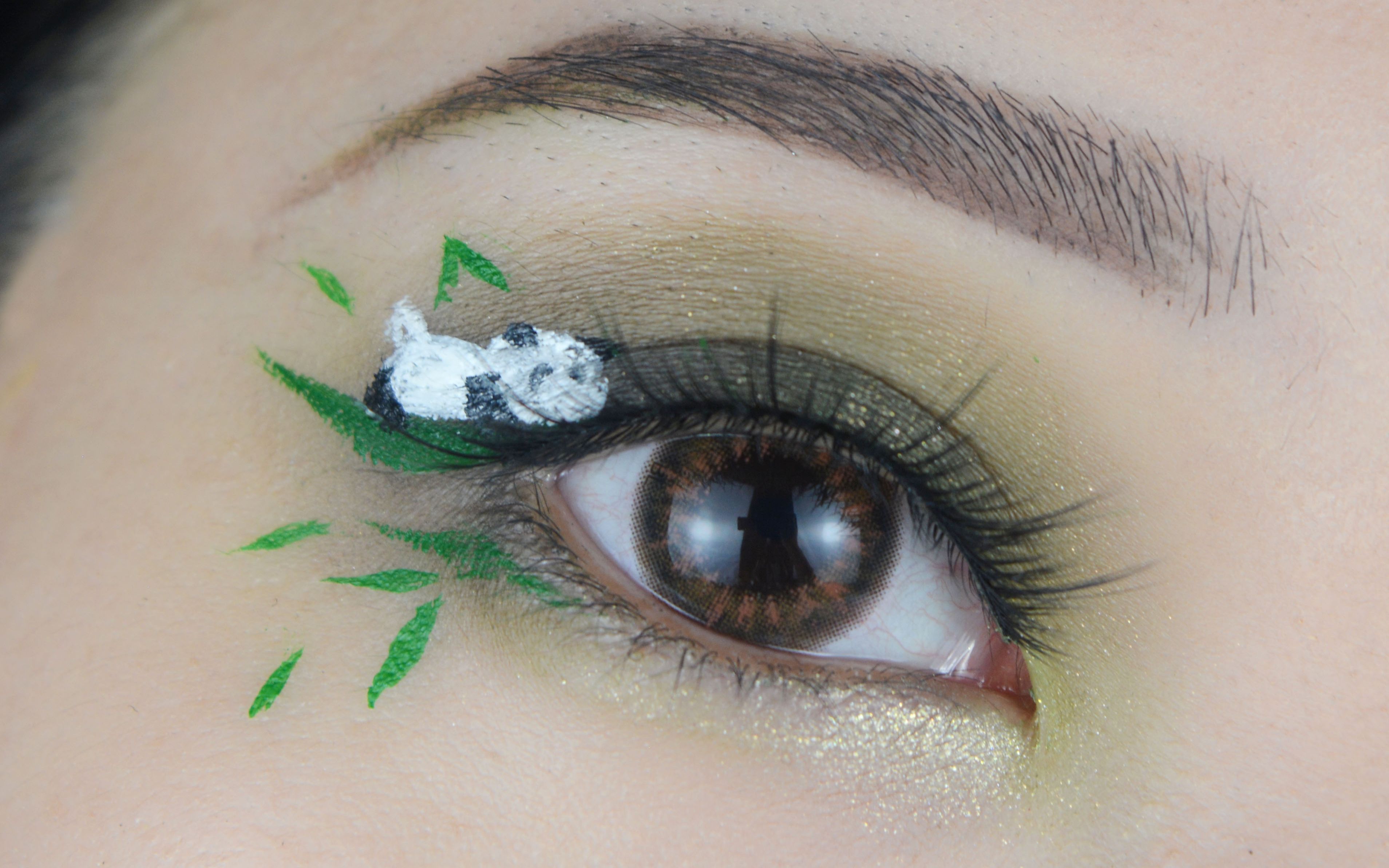 完美日记熊猫盘——小熊猫创意眼妆教程