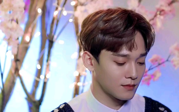 [图]【EXO】CHEN《四月后的离别》合集