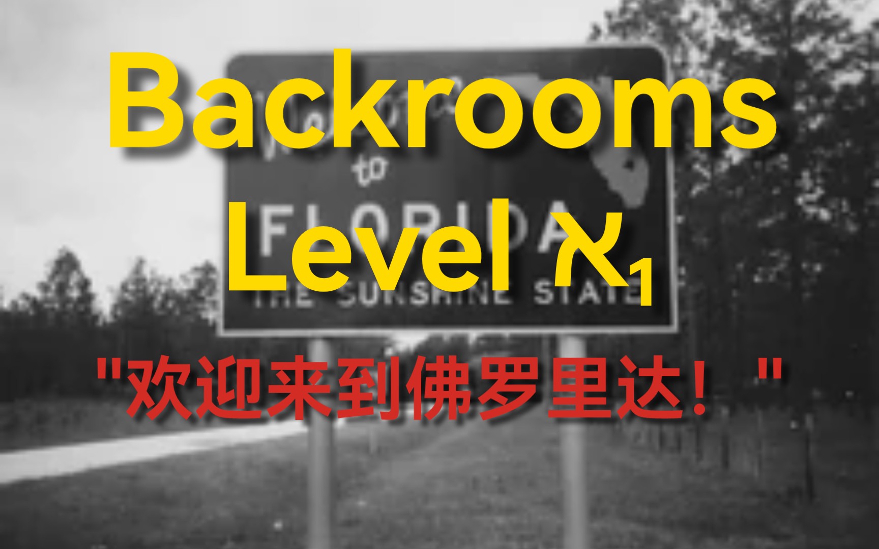 [图]【Backrooms】隐秘层级 Level ℵ₁: "欢迎来到佛罗里达！"