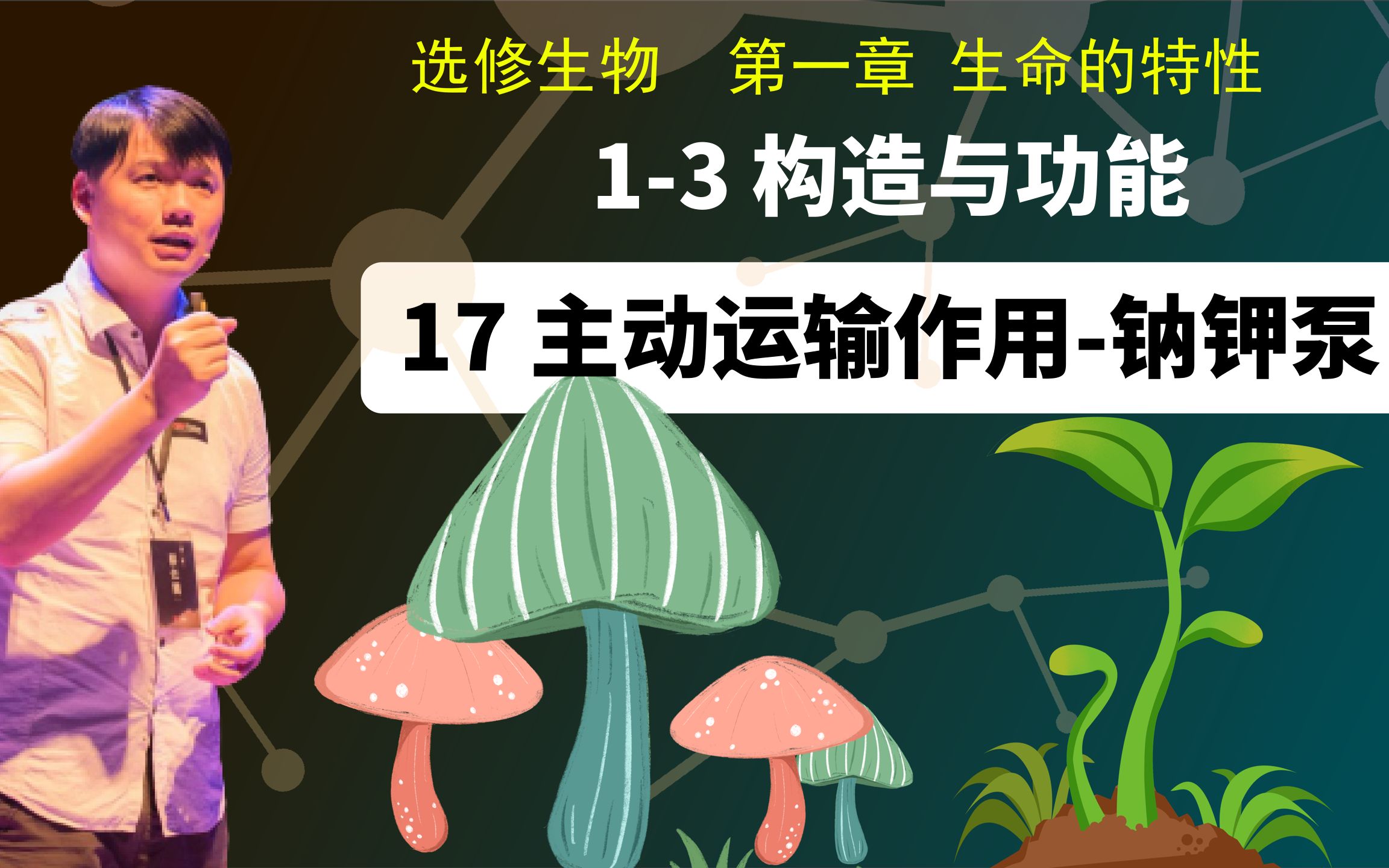 选修生物13.17 主动运输作用钠钾泵哔哩哔哩bilibili