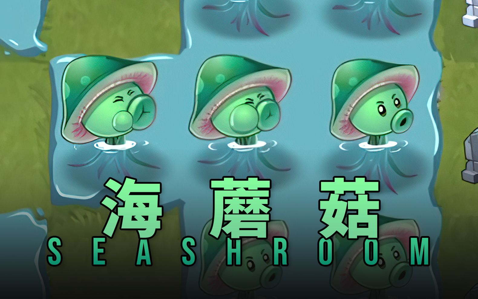 【芦苇】史诗任务之海蘑菇sea-shroom-植物大战僵尸2国际版11.3.