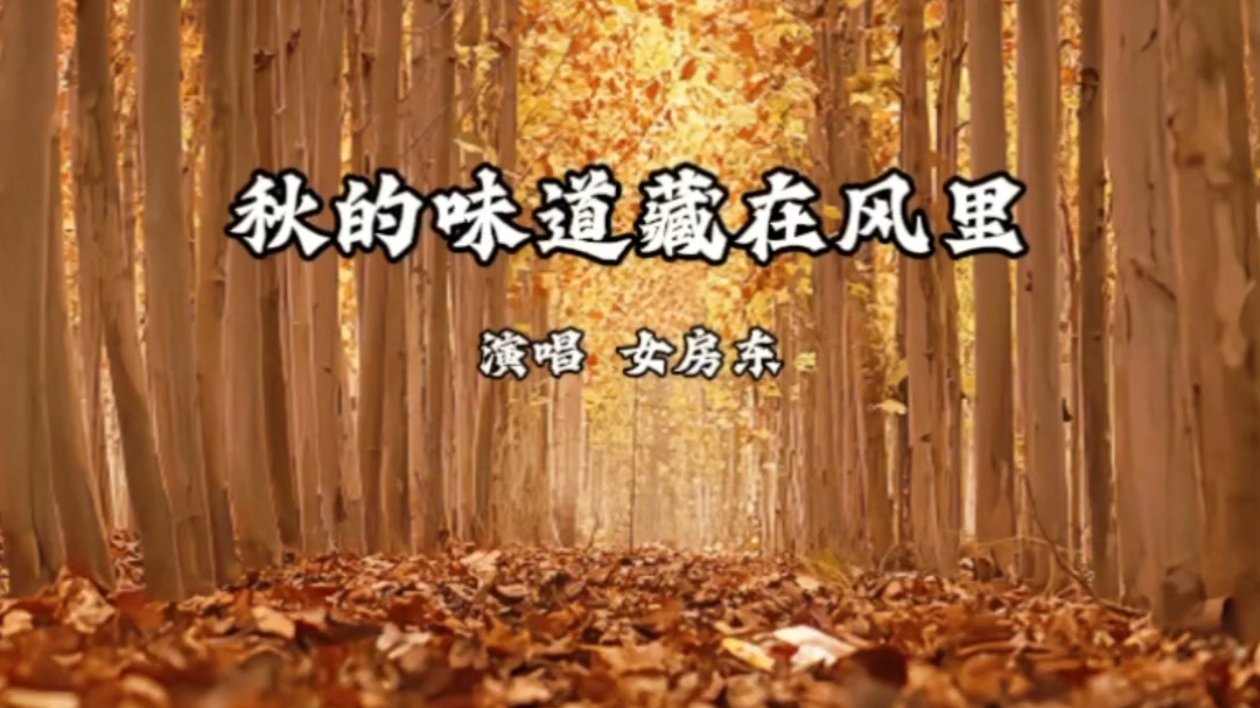 《秋的味道藏在风里》 女房东 风景欣赏