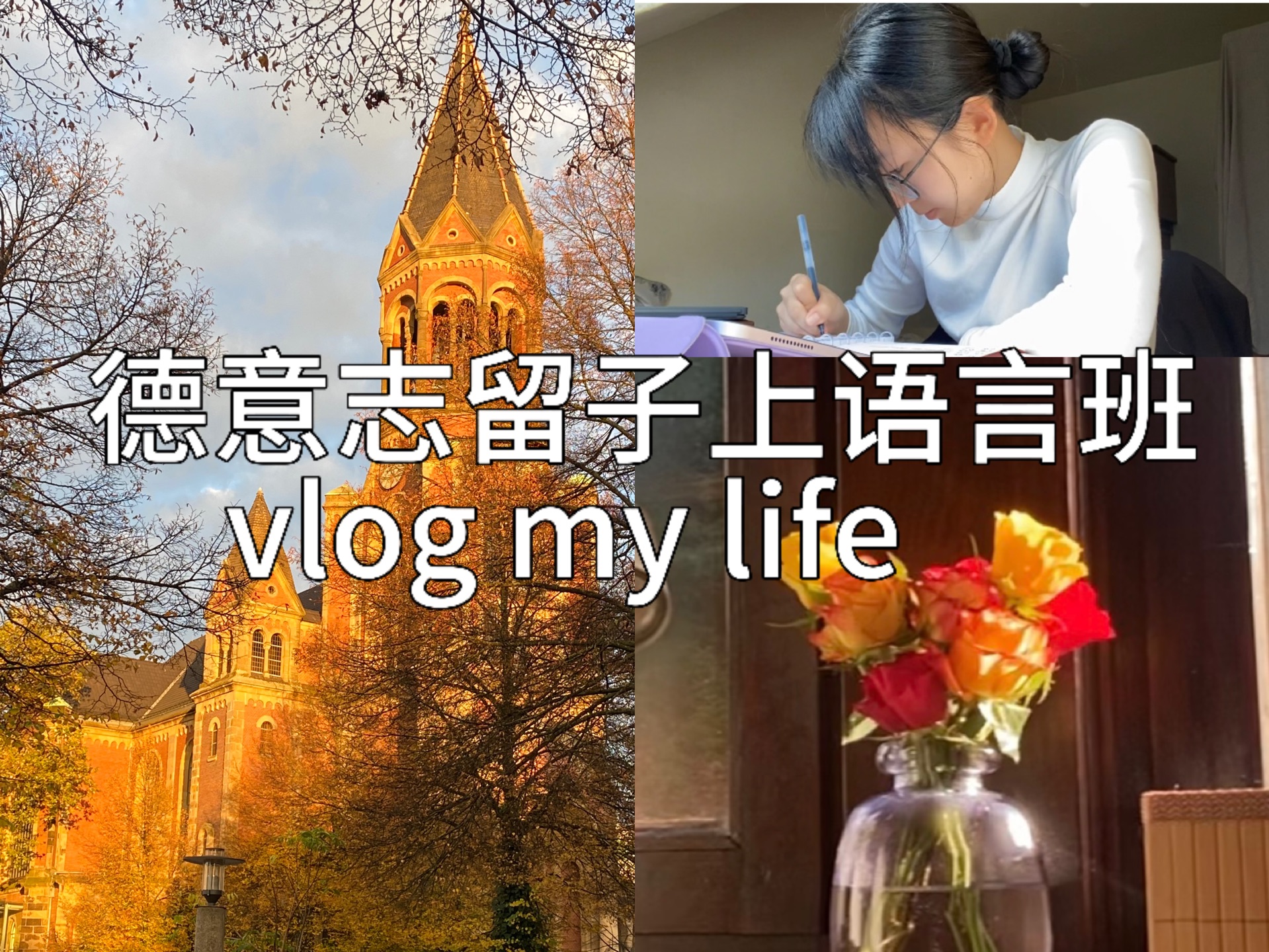 德国留学vlog|不许再说德区没up了,我来凑数啦~哔哩哔哩bilibili