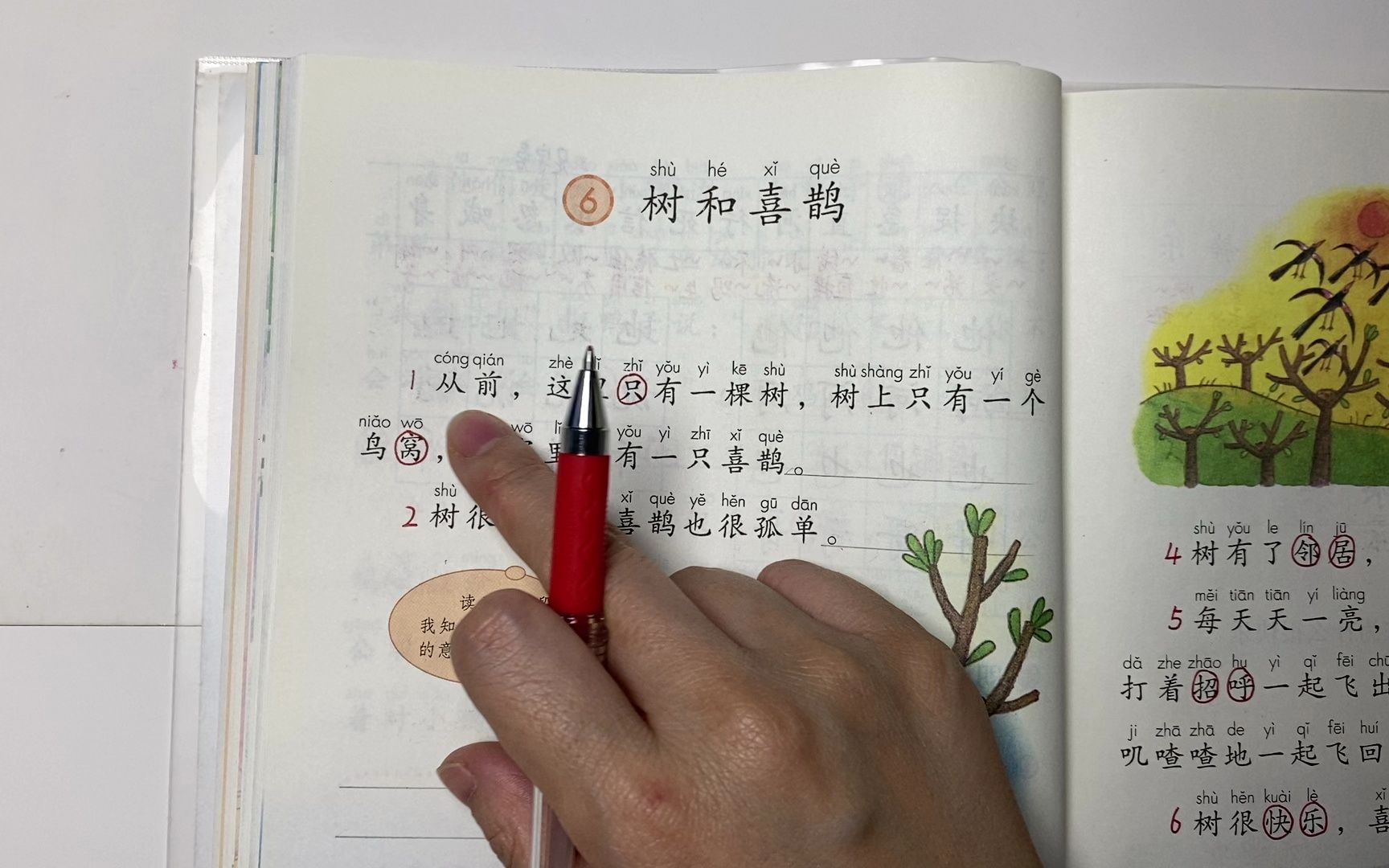 小學語文一年級下冊 【樹和喜鵲】課文 生字講解