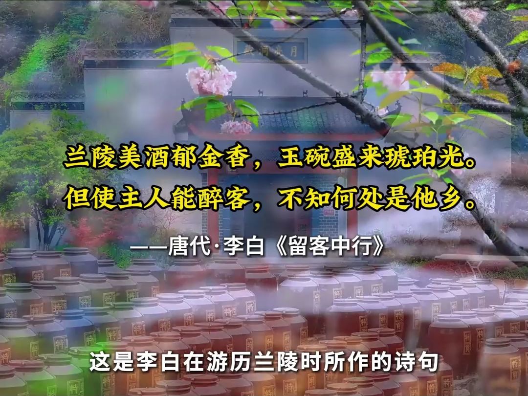 每日“酒”诗—兰陵美酒郁金香,玉碗盛来琥珀光. 但使主人能醉客,不知何处是他乡. ——唐ⷦŽ白《留客中行》哔哩哔哩bilibili