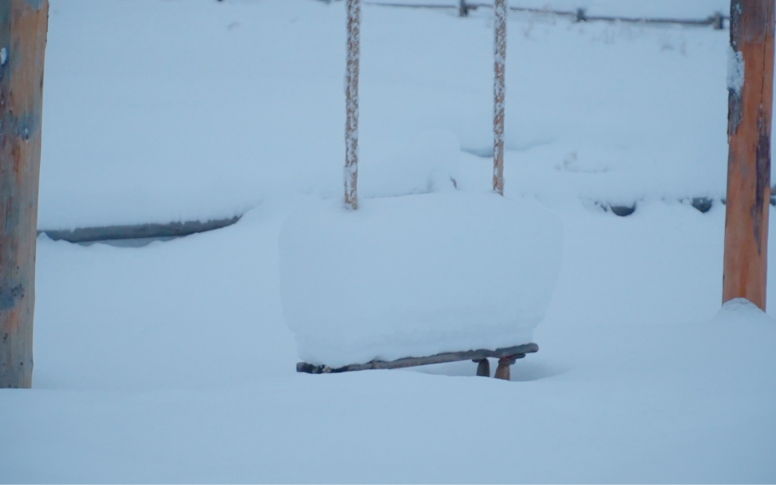 在新疆禾木一天的降雪量有多厚哔哩哔哩bilibili