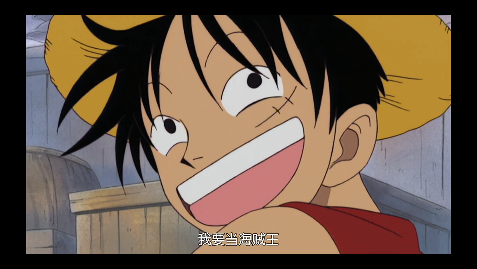 我是要成为海贼王的男人