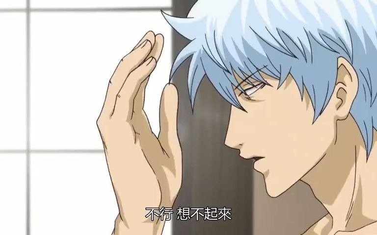 银魂后宫篇哈哈哈哈哈真后宫了