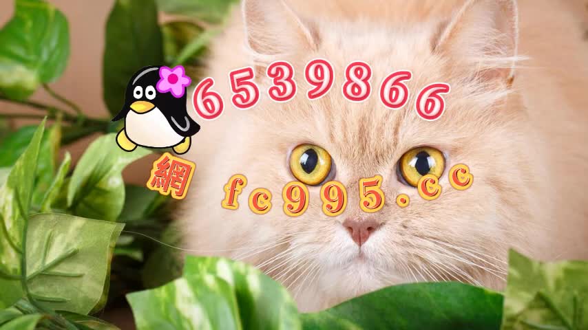 网络彩票导师带计划acbd