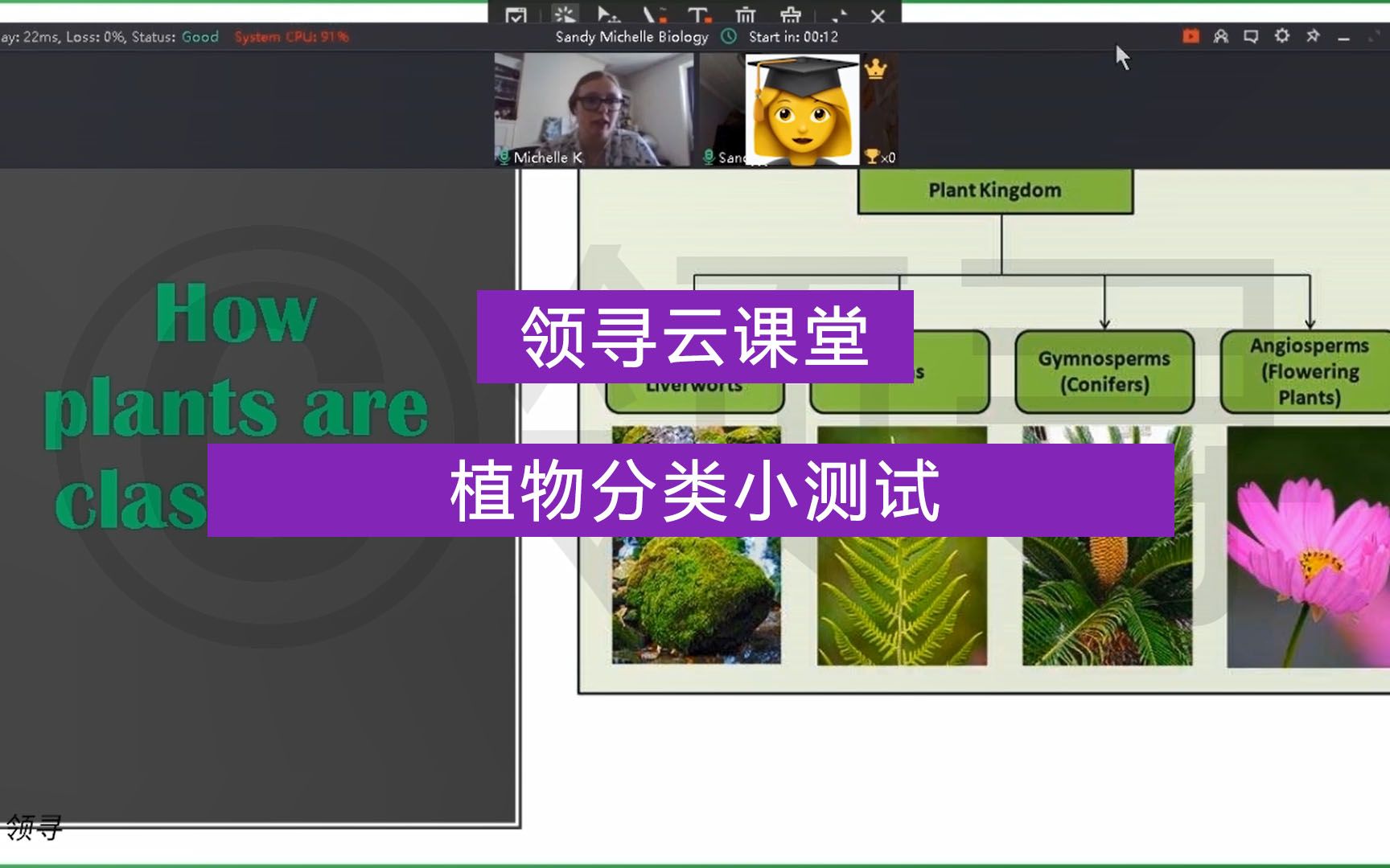 领寻云课堂 | 生物 | 植物分类和十字花科哔哩哔哩bilibili