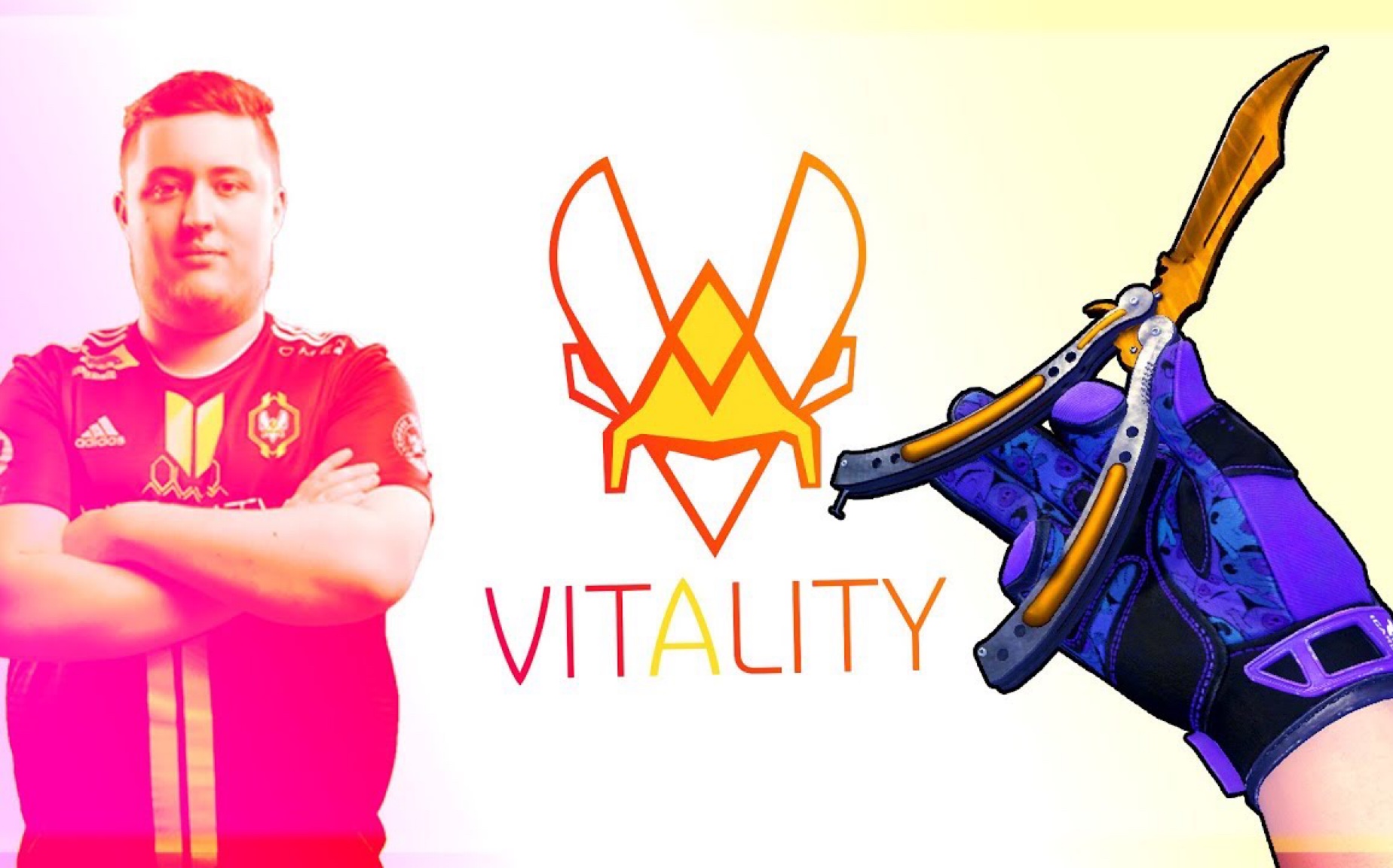 csgo 小蜜蜂vitality队员游戏库存介绍