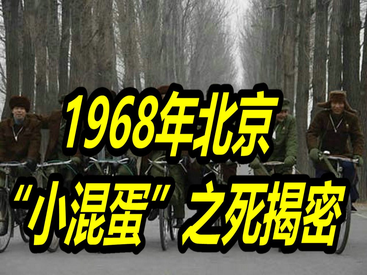 1968年北京“小混蛋”之死揭密(一)哔哩哔哩bilibili