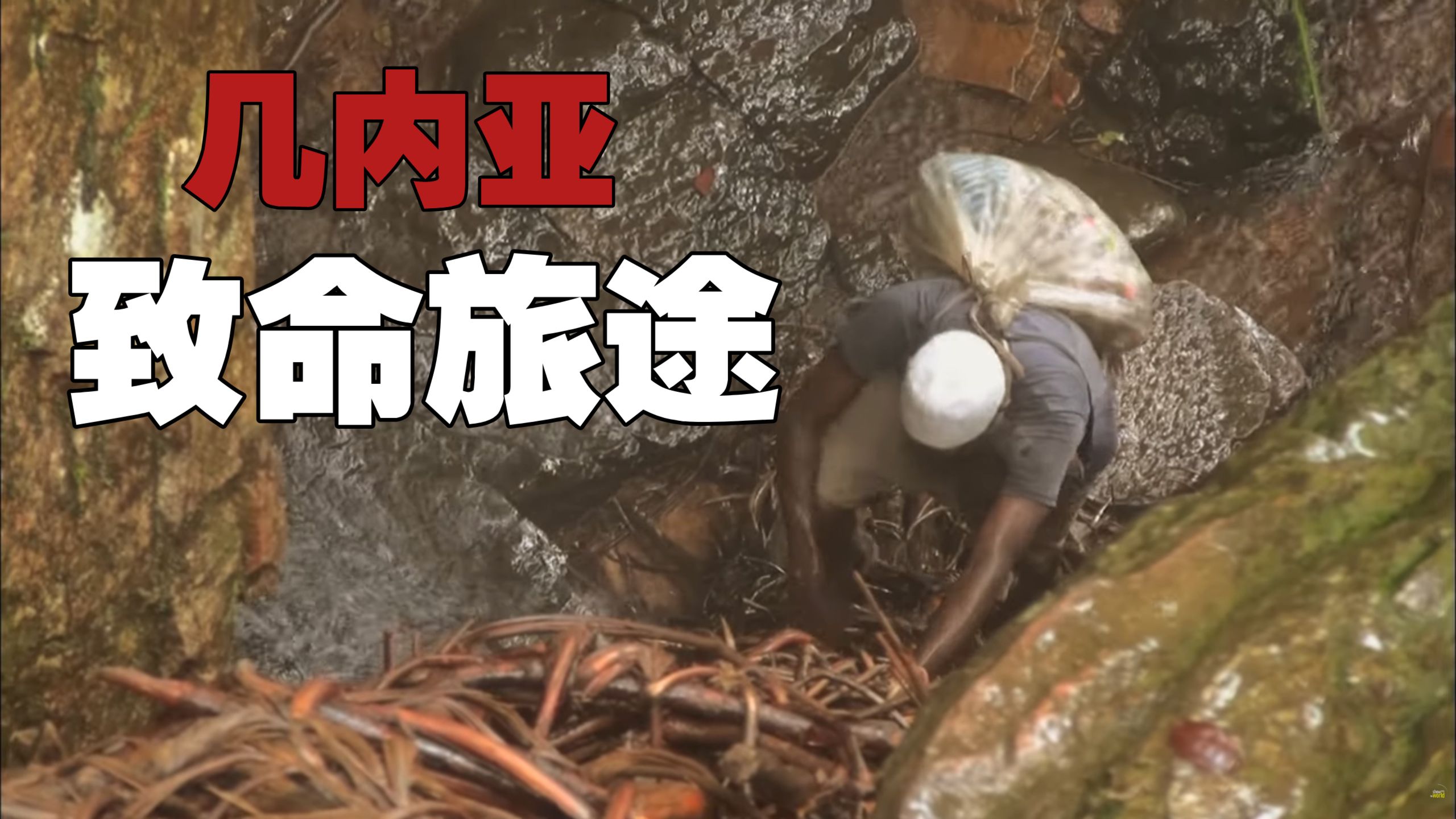 几 内 亚 :与 困 难 和 危 险 较 量 !-启示录纪实-启示录纪实-哔哩哔哩视频