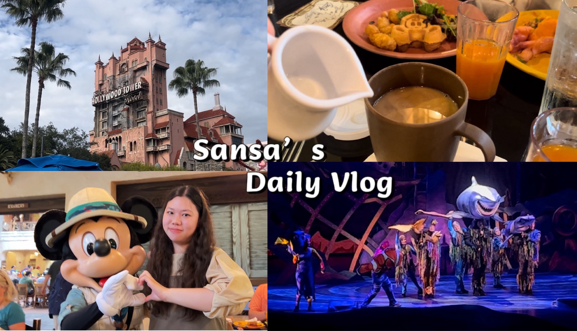 [图]Daily Vlog｜奥兰多一日两园｜Hollywood和Animal Kingdom｜见到了米奇米妮