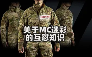 多地形迷彩 搜索结果 哔哩哔哩 Bilibili