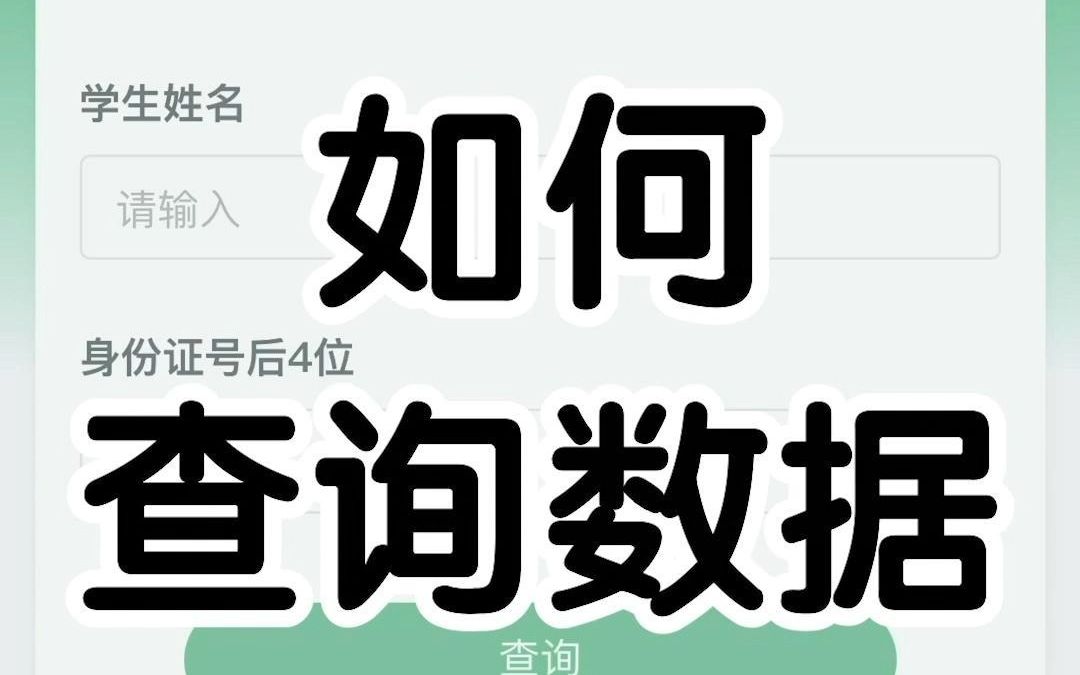 查询人如何使用来豹查查,查询数据呢?哔哩哔哩bilibili